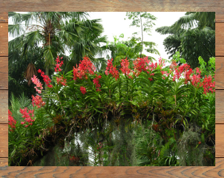 Design 68358 Canvas Prints