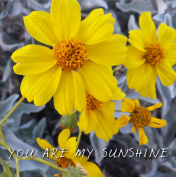 Design 62871 Canvas Prints Image