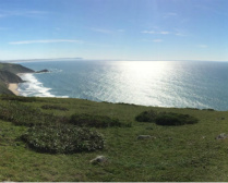 Design 71084 Canvas Prints Image