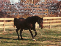 Design 71910 Canvas Prints Image