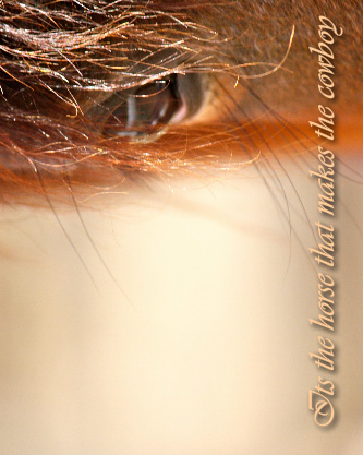 Design 72587 Canvas Prints