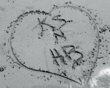 KS n HB