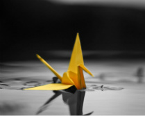Design 79241
