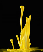 Design 79236