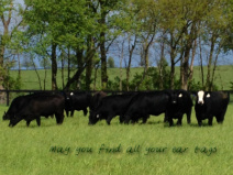 Design 83894 Canvas Prints Image