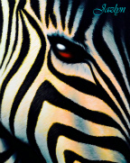 Design 84199 Canvas Prints Image