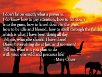 Design 87713 Canvas Prints Image