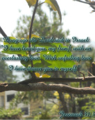 For my love