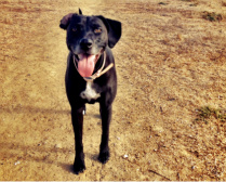 Design 91098 Canvas Prints Image