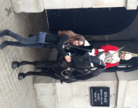 Design 91709 Canvas Prints Image