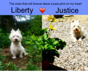 Design 94117 Canvas Prints Image