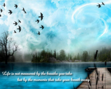 Design 94916 Canvas Prints Image