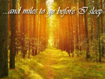 Design 97732 Canvas Prints Image