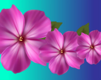 Design 93289