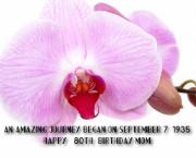 Design 103937 Canvas Prints Image