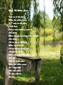 Willow Tree 2