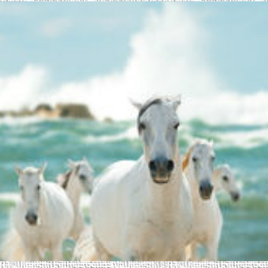 Design 151777 Canvas Prints