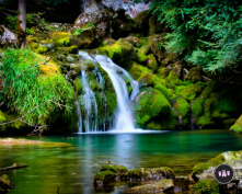 Design 154526 Canvas Prints Image