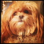 Design 148879 Canvas Prints Image