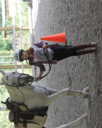 Design 148929 Canvas Prints Image