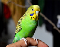 Design 231049 Canvas Prints Image