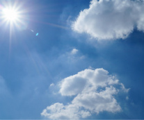 Design 231263 Canvas Prints Image