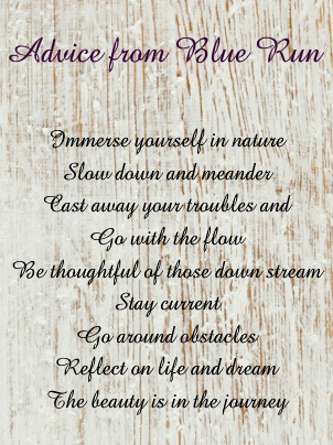 Design 234391 Canvas Prints