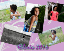 Design 235529