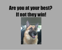 Design 228646 Canvas Prints Image