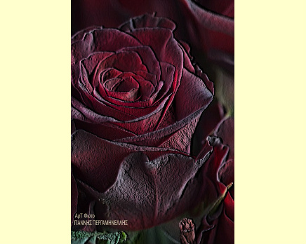Design 229454 Canvas Prints