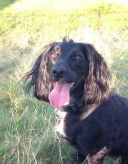 Design 229983 Canvas Prints Image