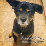 Design 230038 Canvas Prints Image