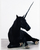 Design 252374 Canvas Prints Image