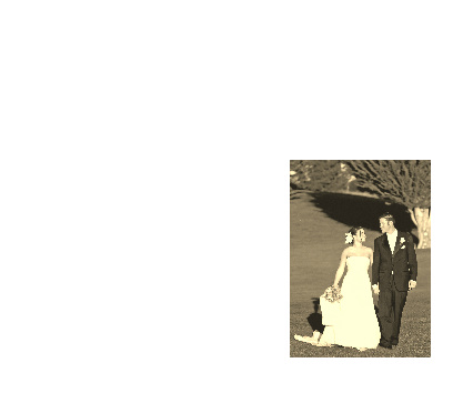 Design 240597 Canvas Prints