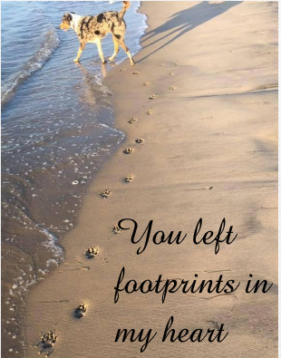 Design 260236 Canvas Prints