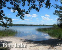 Design 260761 Canvas Prints Image