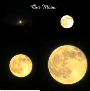 Our Moon
