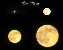 Our Moon