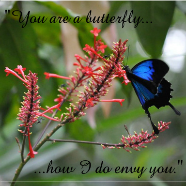 Design 254321 Canvas Prints