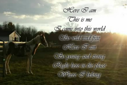 Design 255048 Canvas Prints Image