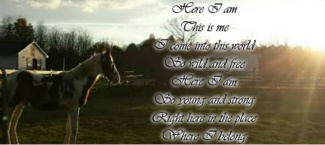 Design 255888 Canvas Prints Image