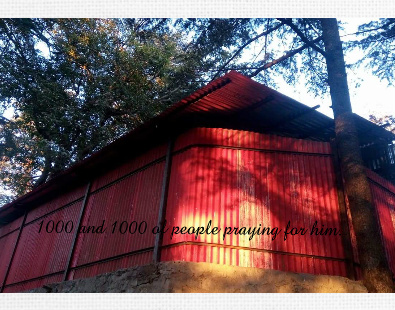 Design 256214 Canvas Prints