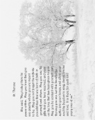 Design 256698 Canvas Prints Image