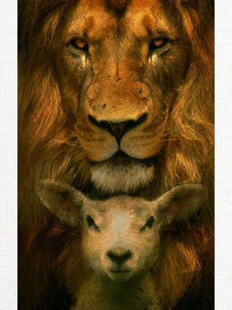 Design 258282 Canvas Prints