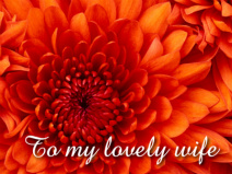 Design 158263 Canvas Prints Image