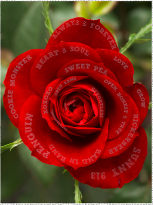 Design 155009 Canvas Prints