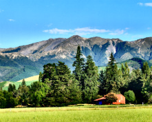 Design 160252 Canvas Prints Image