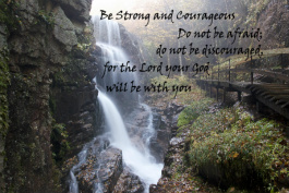 Design 160769 Canvas Prints Image