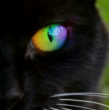 Design 162716 Canvas Prints Image