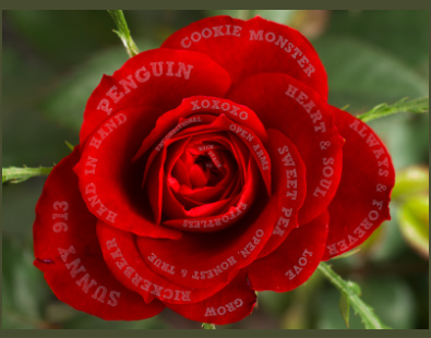 Design 155454 Canvas Prints